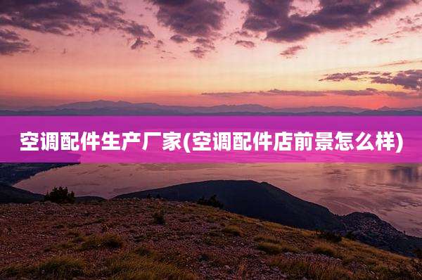空调配件生产厂家(空调配件店前景怎么样)