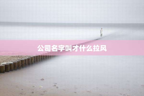 公司名字叫才什么拉风