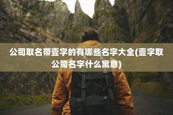 公司取名带壹字的有哪些名字大全(壹字取公司名字什么寓意)
