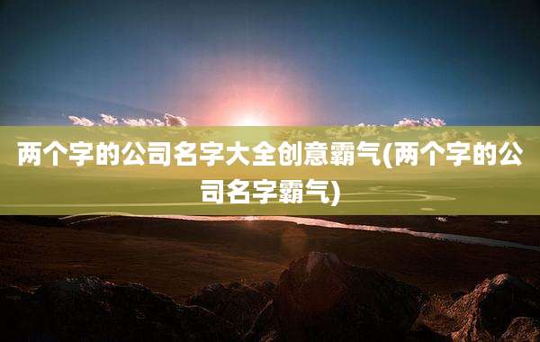 两个字的公司名字大全创意霸气(两个字的公司名字霸气)