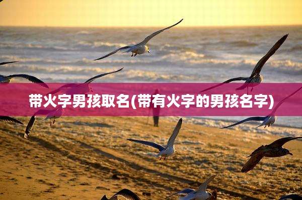 带火字男孩取名(带有火字的男孩名字)