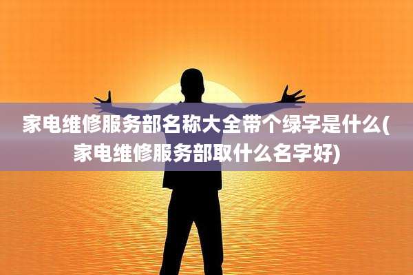 家电维修服务部名称大全带个绿字是什么(家电维修服务部取什么名字好)