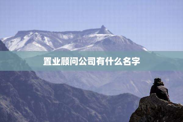 置业顾问公司有什么名字