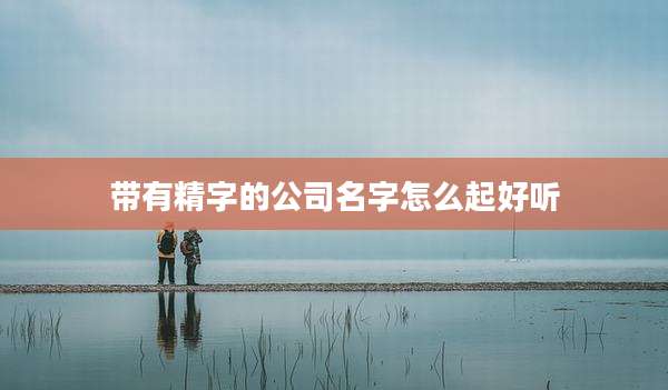 带有精字的公司名字怎么起好听