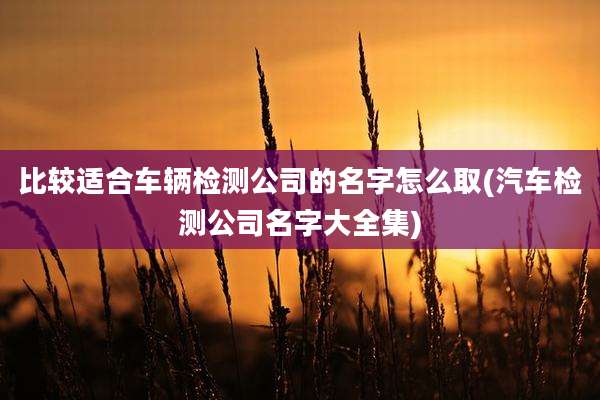 比较适合车辆检测公司的名字怎么取(汽车检测公司名字大全集)