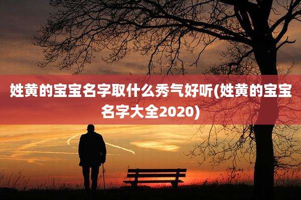 姓黄的宝宝名字取什么秀气好听(姓黄的宝宝名字大全2020)
