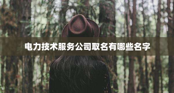 电力技术服务公司取名有哪些名字