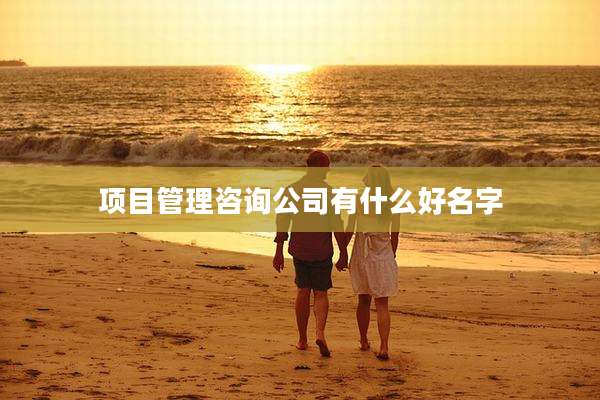 项目管理咨询公司有什么好名字