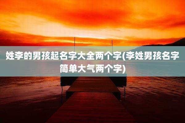 姓李的男孩起名字大全两个字(李姓男孩名字简单大气两个字)