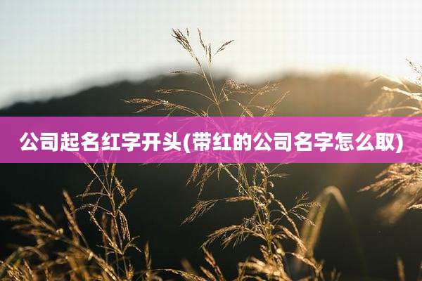 公司起名红字开头(带红的公司名字怎么取)