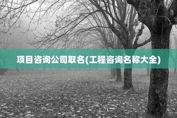 项目咨询公司取名(工程咨询名称大全)