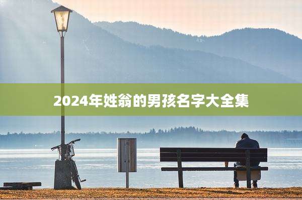 2024年姓翁的男孩名字大全集