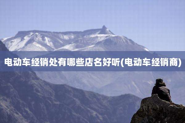 电动车经销处有哪些店名好听(电动车经销商)