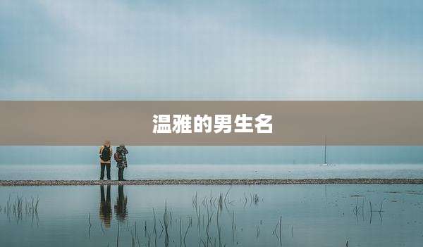 温雅的男生名