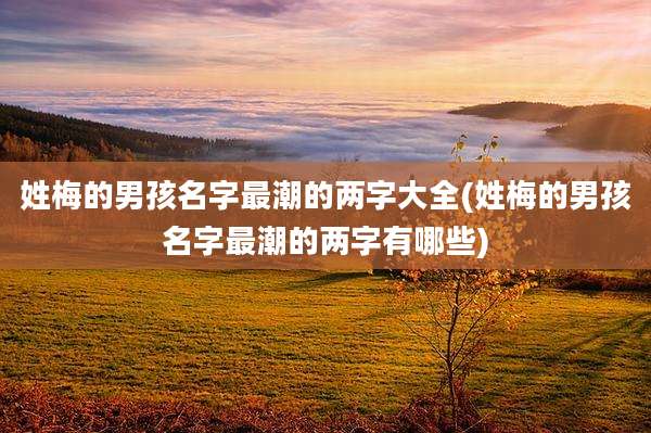 姓梅的男孩名字最潮的两字大全(姓梅的男孩名字最潮的两字有哪些)