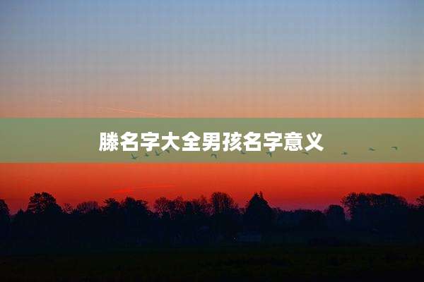 滕名字大全男孩名字意义