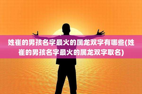 姓崔的男孩名字最火的属龙双字有哪些(姓崔的男孩名字最火的属龙双字取名)