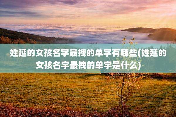姓延的女孩名字最拽的单字有哪些(姓延的女孩名字最拽的单字是什么)