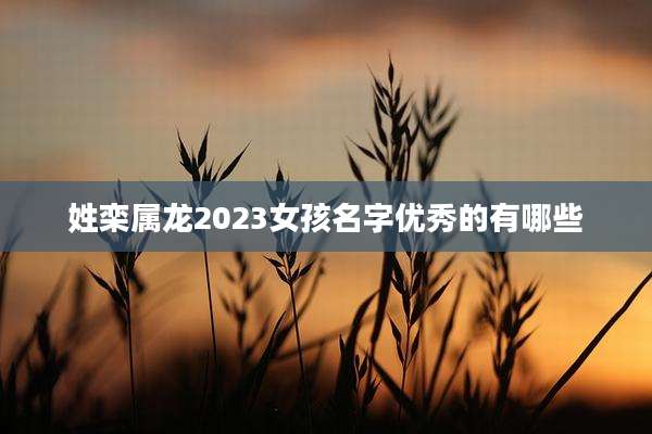 姓栾属龙2023女孩名字优秀的有哪些