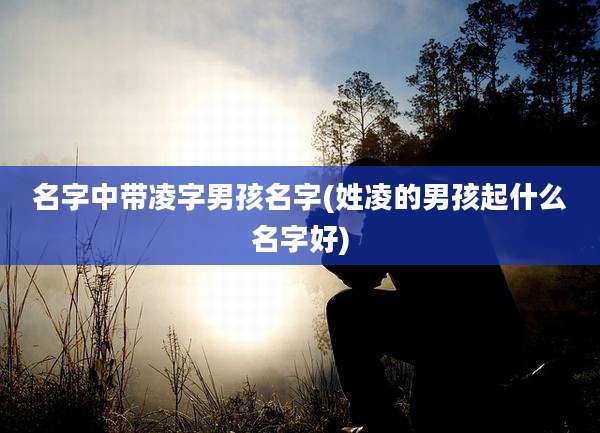 名字中带凌字男孩名字(姓凌的男孩起什么名字好)