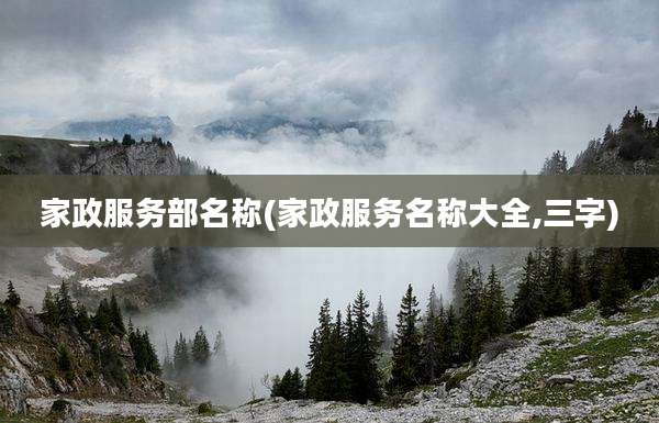 家政服务部名称(家政服务名称大全,三字)