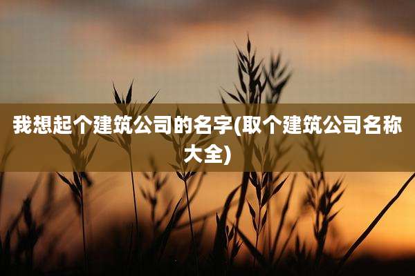 我想起个建筑公司的名字(取个建筑公司名称大全)