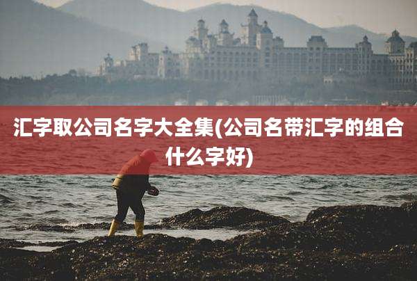 汇字取公司名字大全集(公司名带汇字的组合什么字好)