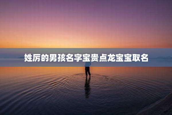 姓厉的男孩名字宝贵点龙宝宝取名