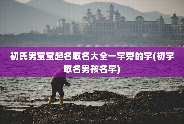 初氏男宝宝起名取名大全一字旁的字(初字取名男孩名字)