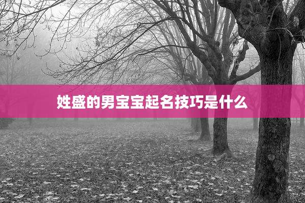 姓盛的男宝宝起名技巧是什么