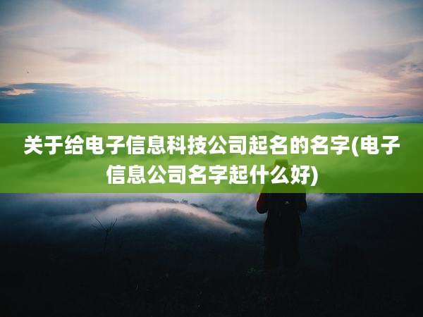 关于给电子信息科技公司起名的名字(电子信息公司名字起什么好)