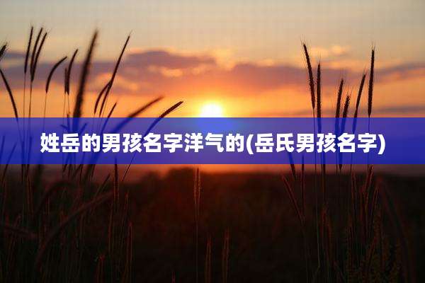姓岳的男孩名字洋气的(岳氏男孩名字)