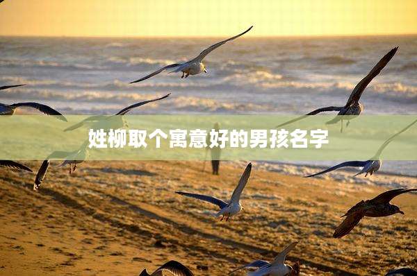 姓柳取个寓意好的男孩名字