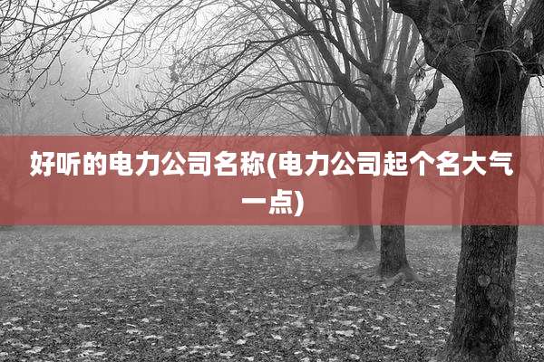 好听的电力公司名称(电力公司起个名大气一点)
