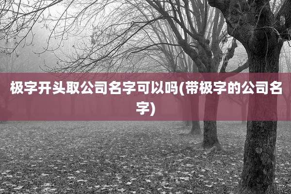 极字开头取公司名字可以吗(带极字的公司名字)