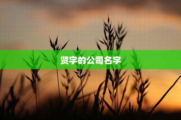 贤字的公司名字
