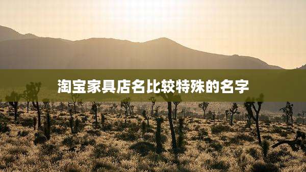淘宝家具店名比较特殊的名字