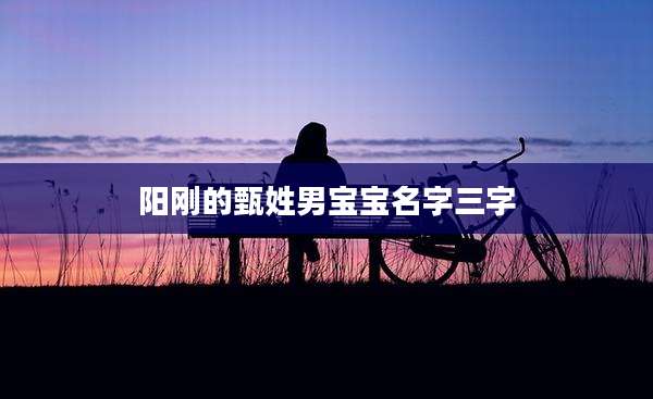 阳刚的甄姓男宝宝名字三字