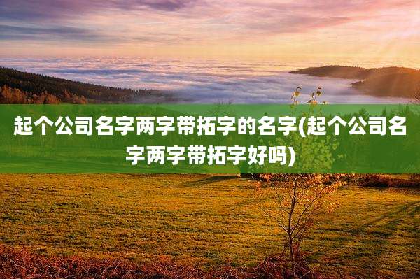 起个公司名字两字带拓字的名字(起个公司名字两字带拓字好吗)