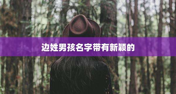 边姓男孩名字带有新颖的