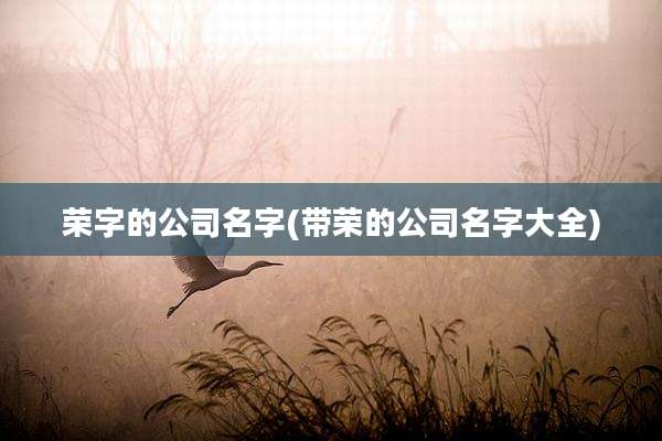 荣字的公司名字(带荣的公司名字大全)