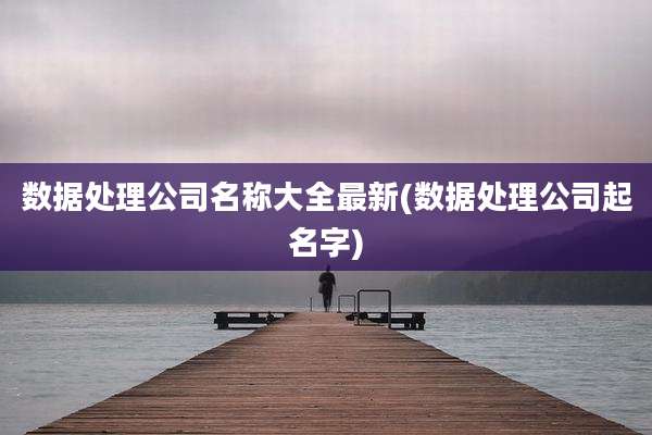 数据处理公司名称大全最新(数据处理公司起名字)
