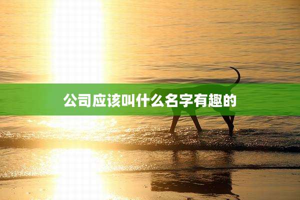 公司应该叫什么名字有趣的