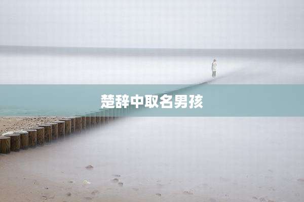 楚辞中取名男孩