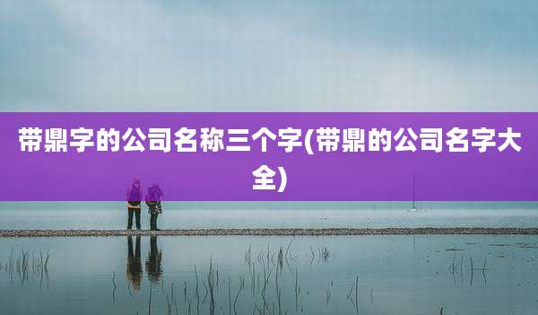 带鼎字的公司名称三个字(带鼎的公司名字大全)