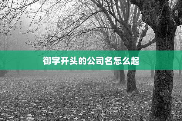 御字开头的公司名怎么起