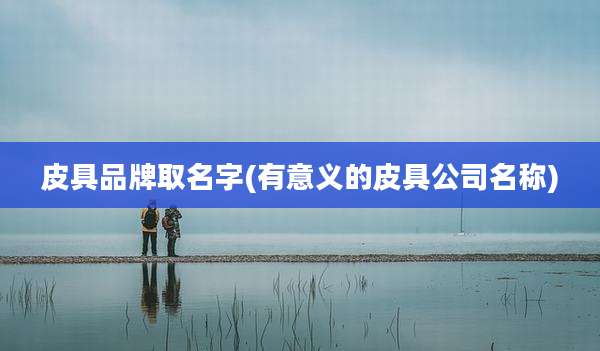 皮具品牌取名字(有意义的皮具公司名称)