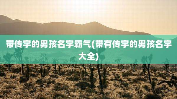 带传字的男孩名字霸气(带有传字的男孩名字大全)