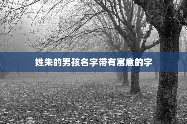 姓朱的男孩名字带有寓意的字