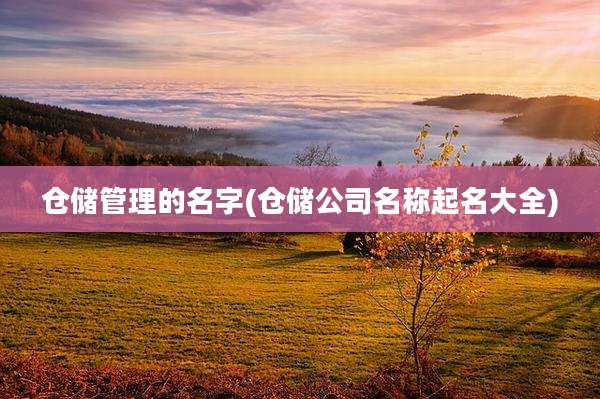 仓储管理的名字(仓储公司名称起名大全)